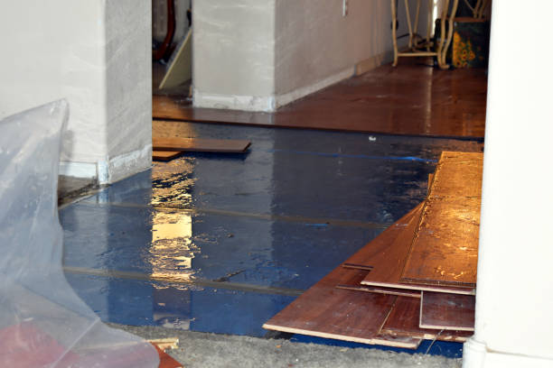 Professional Flood Cleanup technician working in Otter Lake, MI